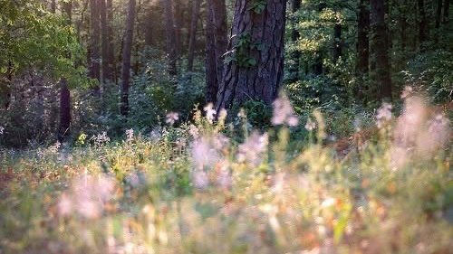 LovelyCuteDaily's tweet image. 