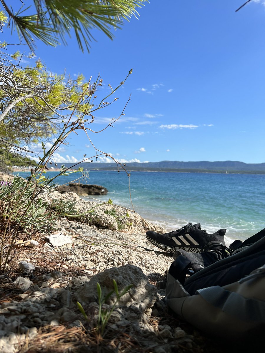 Ana de Breuil tweet media