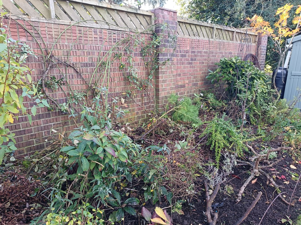 #deadhedge anyone else make these. 
I've always had one at the base of the wall at the back of the border as nothing grows there but perfect hedgehog highway &amp; somewhere safe to hibernate without being disturbed 🦔