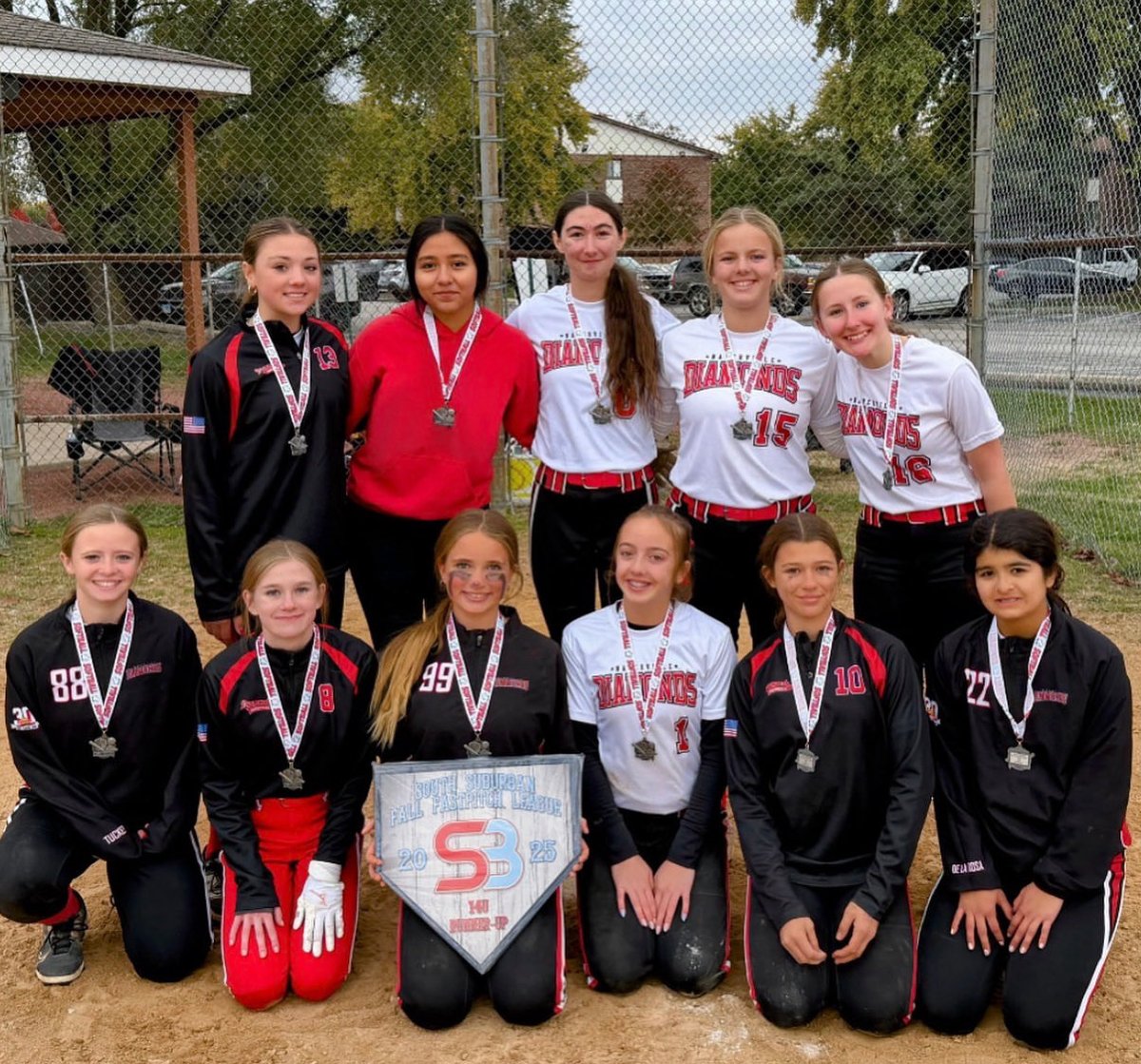 Naperville Diamonds tweet media