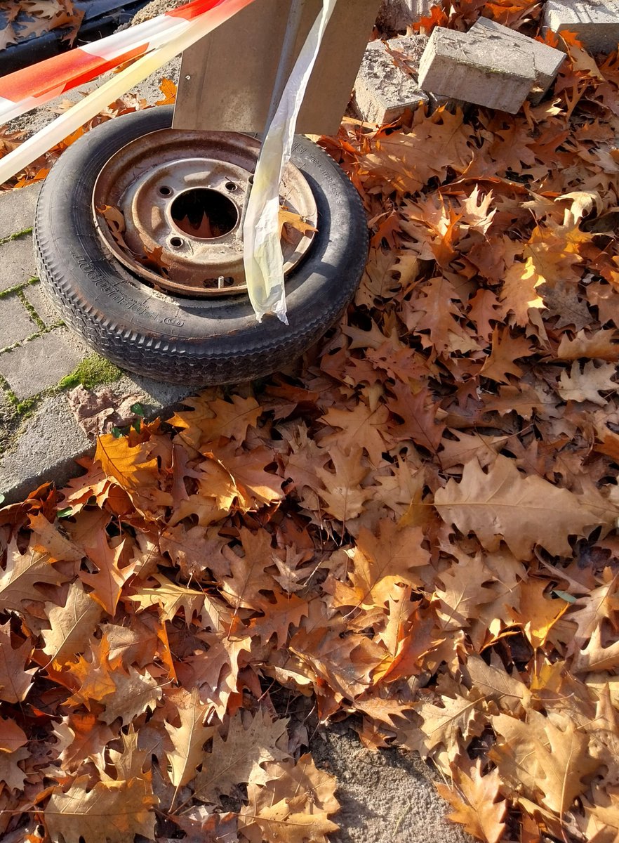 Lubuska impresja motoryzacyjna.

2025, felgotrabantyzowane