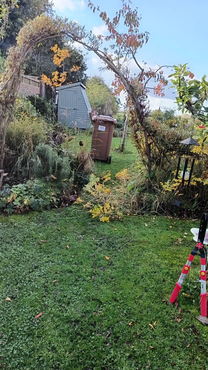 Having a lovely day in my garden #lovewhereilive ❤️