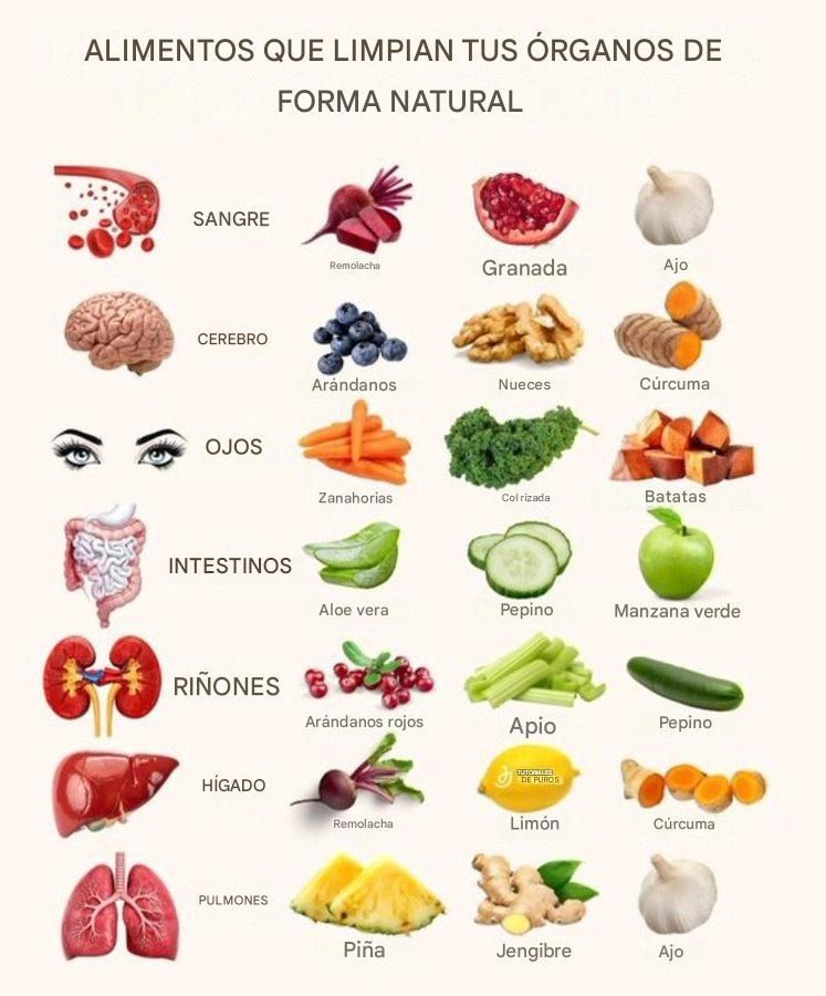 ALIMENTOS QUE LIMPIAN TUS ÓRGANOS DE FORMA NATURAL 👇