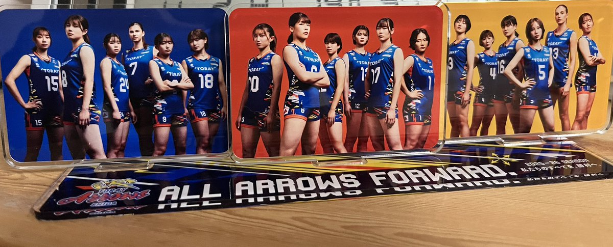 shima_jet's tweet photo. 今週末は二日間とも彦根にて #東レアローズ滋賀 のホームゲームを観戦🏐残念ながら負けたけど、会場に行くと選手から元気貰える🙌試合見るのはほんと楽しい😆ハマり過ぎて初めてアクスタなるものを買った https://t.co/pOKUayjbeu