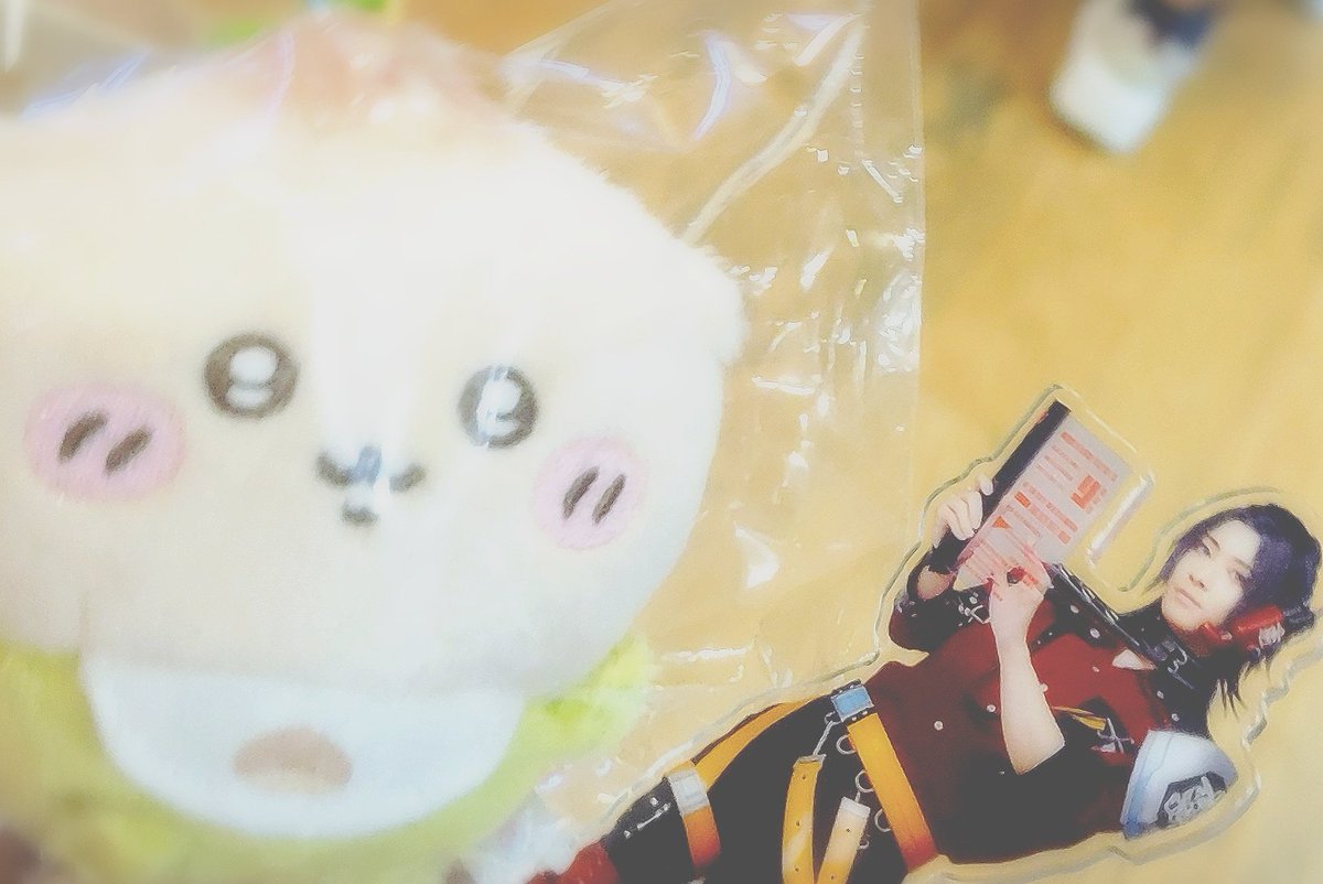 🌰🍼「…」
🦇「……………!?!?」