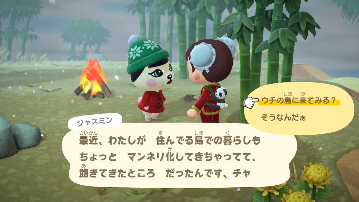 ぱぴこ tweet media