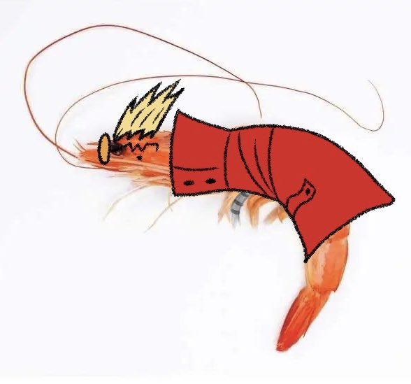 Vash the Shrimpede 🦐
#trigun
