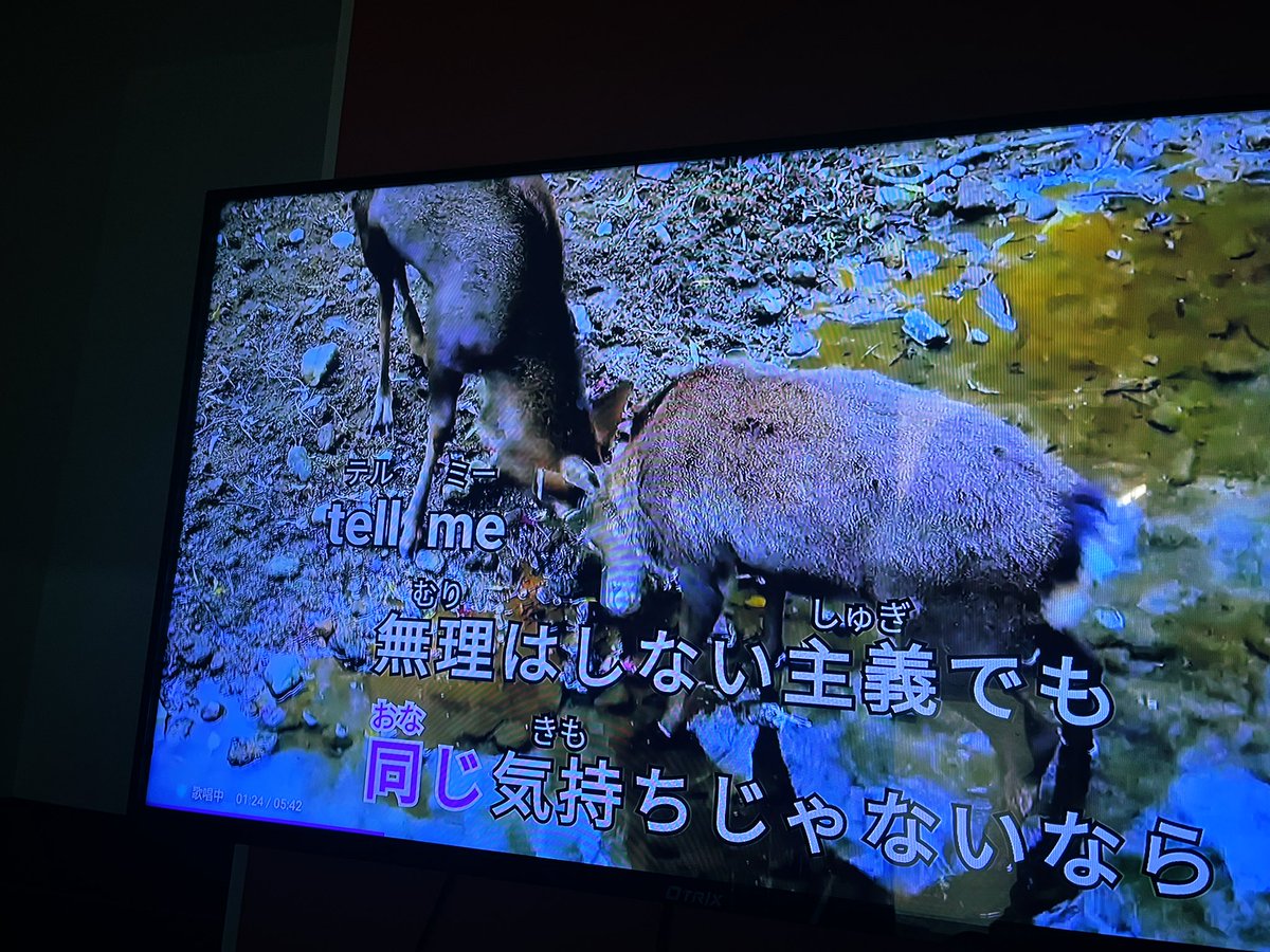 つづ井 COMITIA154【ち28b】 (@wacchoichoi) / Posts / X