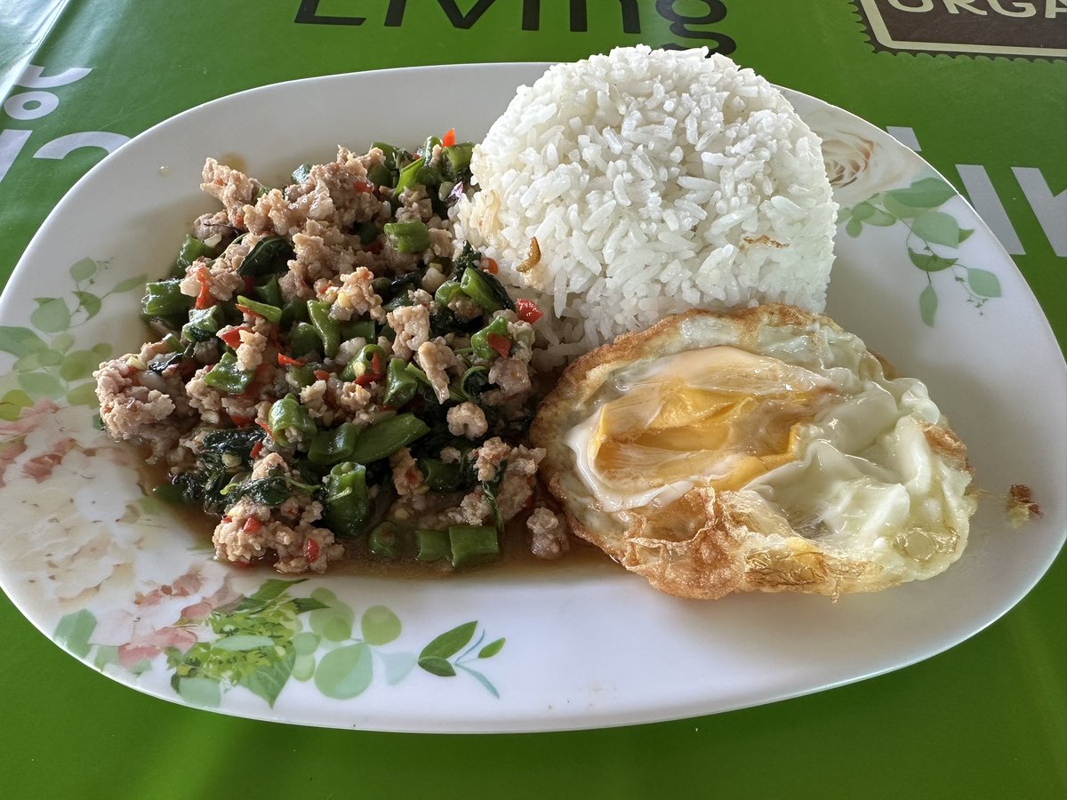 ★バカオライス☆ カラオケCD付ピース楽譜「Paradise Has No Border」東京スカ