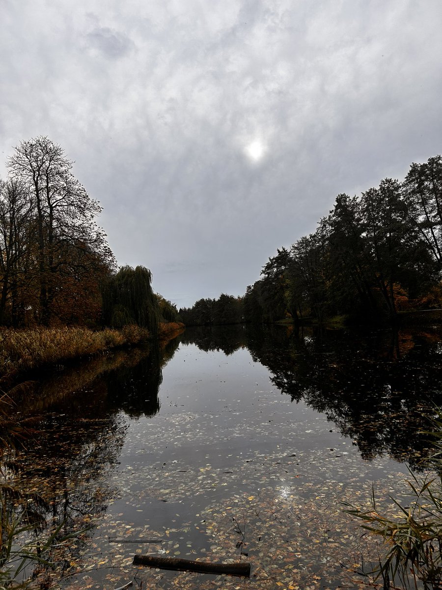 Aşmé Teşrin peyîn 

Payîz…🍂