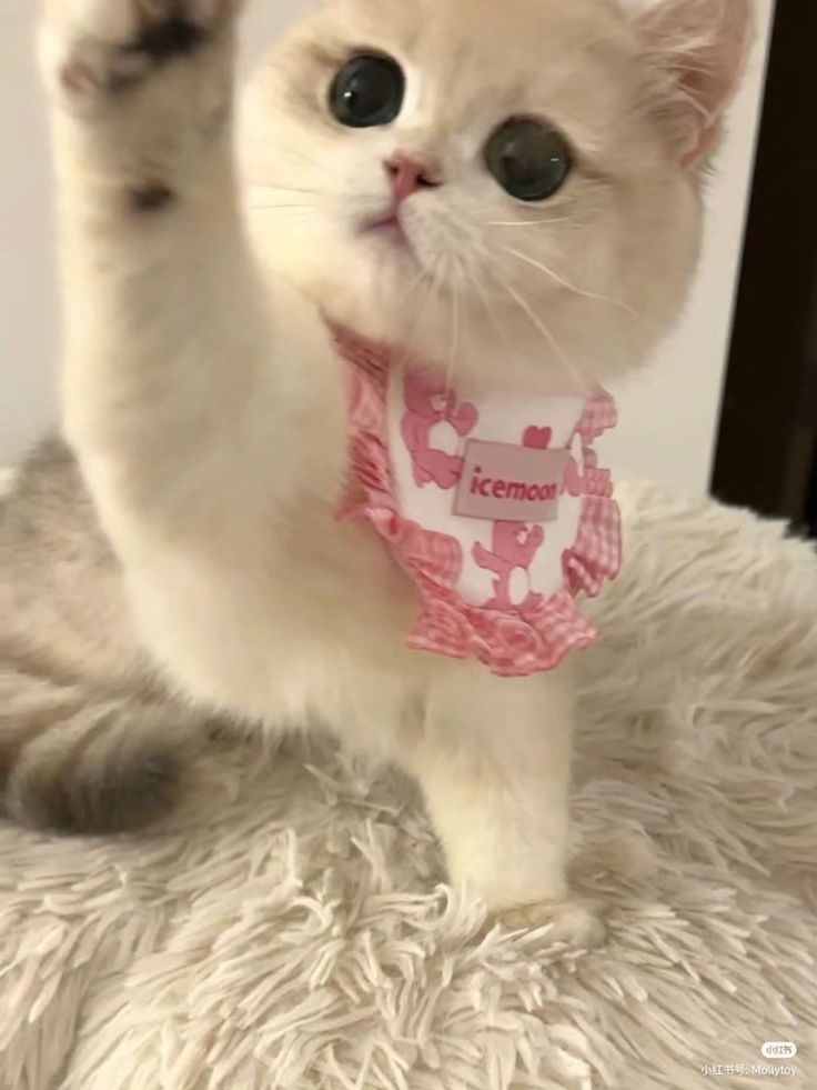 カイ.@DQW (@jzx90kk) / Posts / X