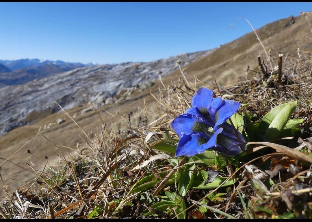 Wo sind alle meine Follower?