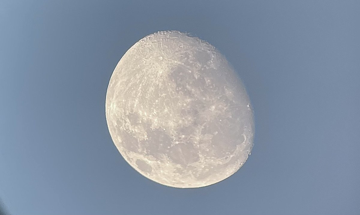 lsky38's tweet image. Nov 2