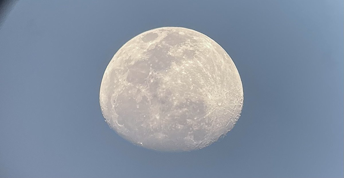 lsky38's tweet image. Nov 2