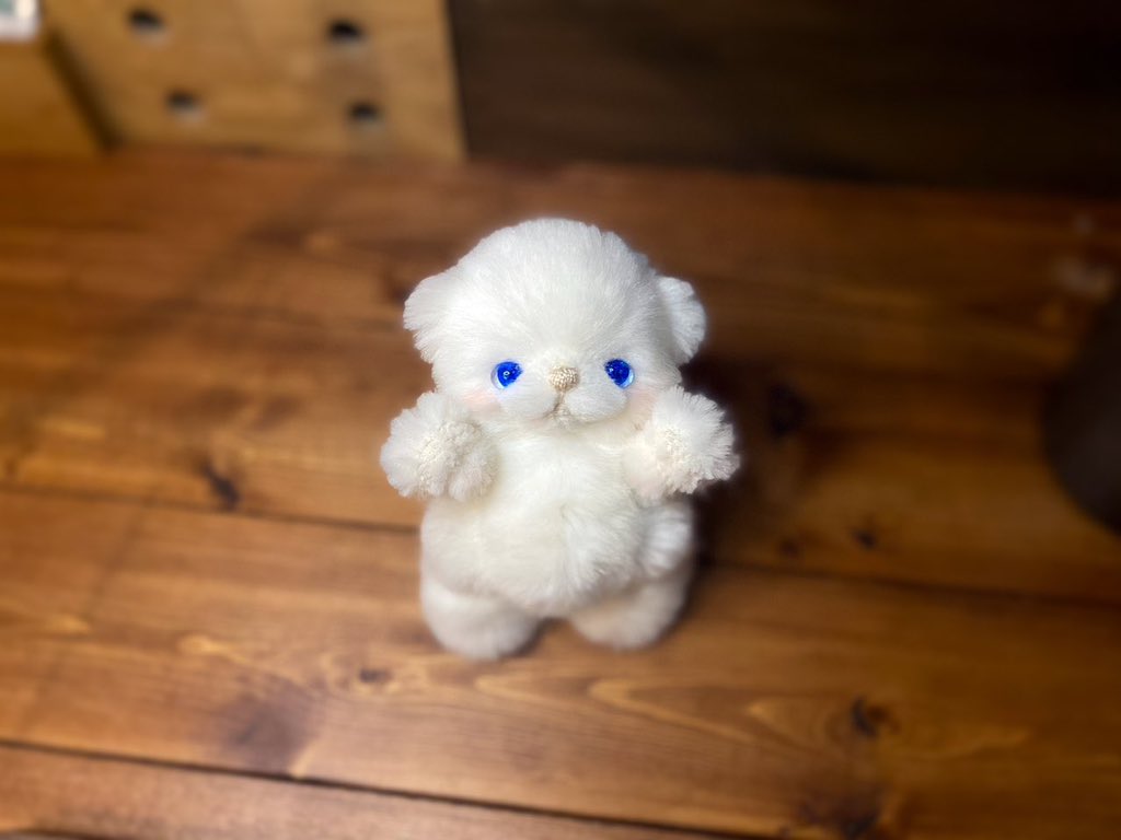 おすわりねこちゃんチャーム　桜 WIND BREAKER 中国限定 おすわり猫ぬいぐるみ 桜遥 おまけ付き