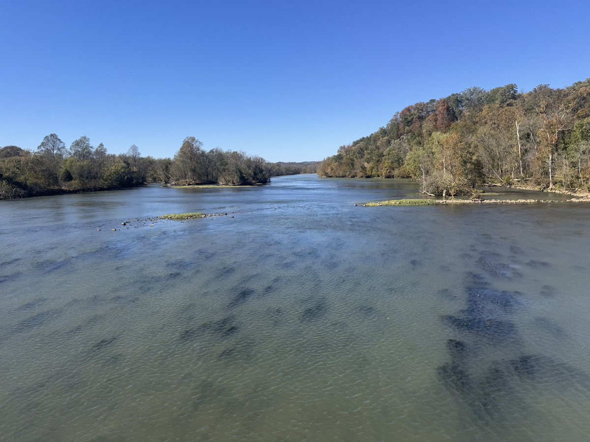 SamFlo16's tweet image. Me and my love decided to go for a walk about an hour away from home. I wasn’t having the best mindset, so he decided to show me this trail, how romantic. The walk and the weather was lovely. Very much enjoyed all the nature and him as well ❤️ I love you, I ❤️
#nature #trail
