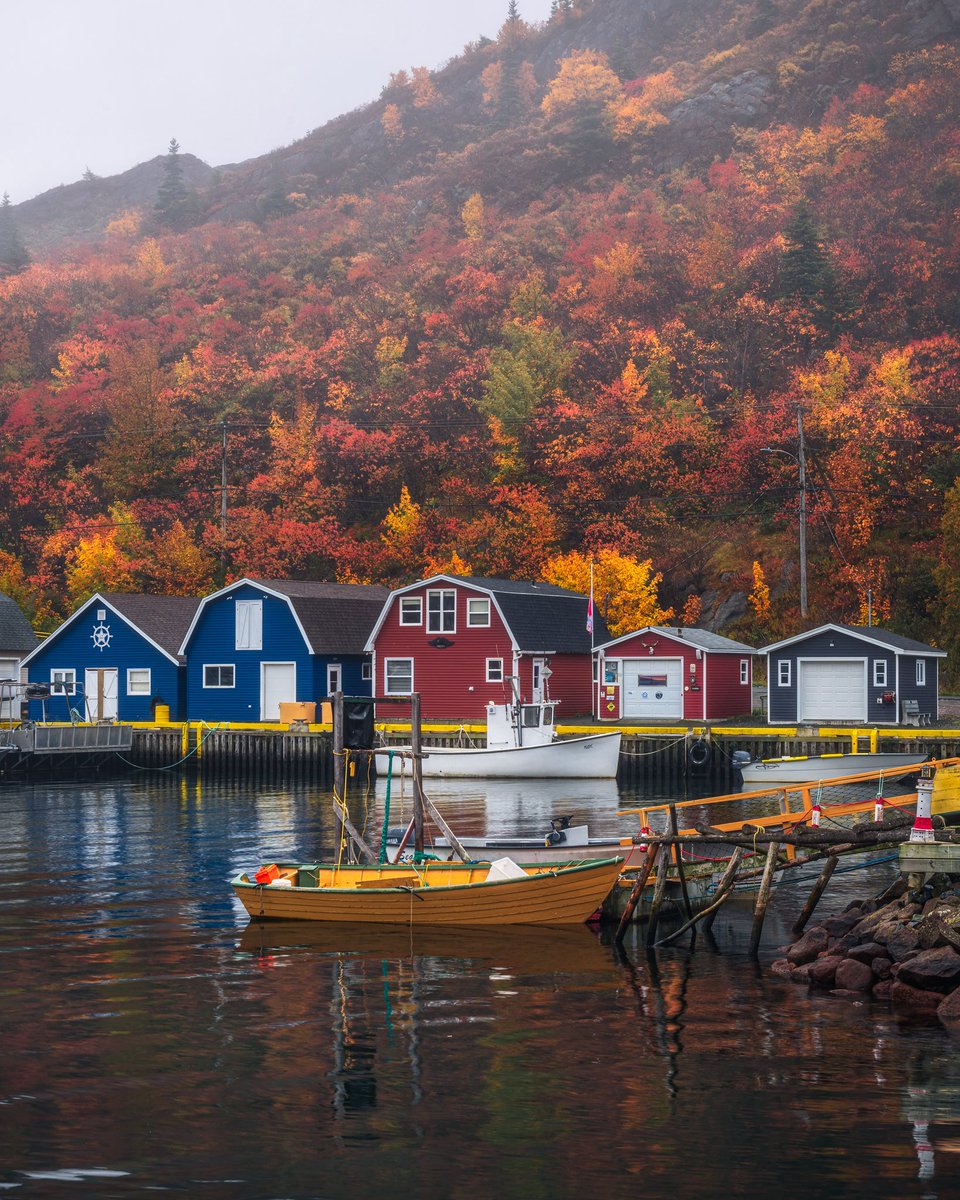 Foggy fall day at Petty Harbour Newfoundland. Plenty of colours to feast your eyes on along the hills of this community. Always a pleasure to visit this place anytime of years. Thanks for viewing and have a great day!