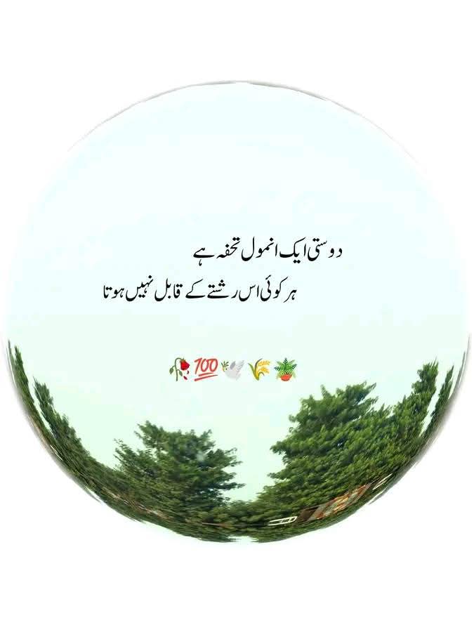 Mr. Azan Sajjad (@mrazansajjad) on Twitter photo 