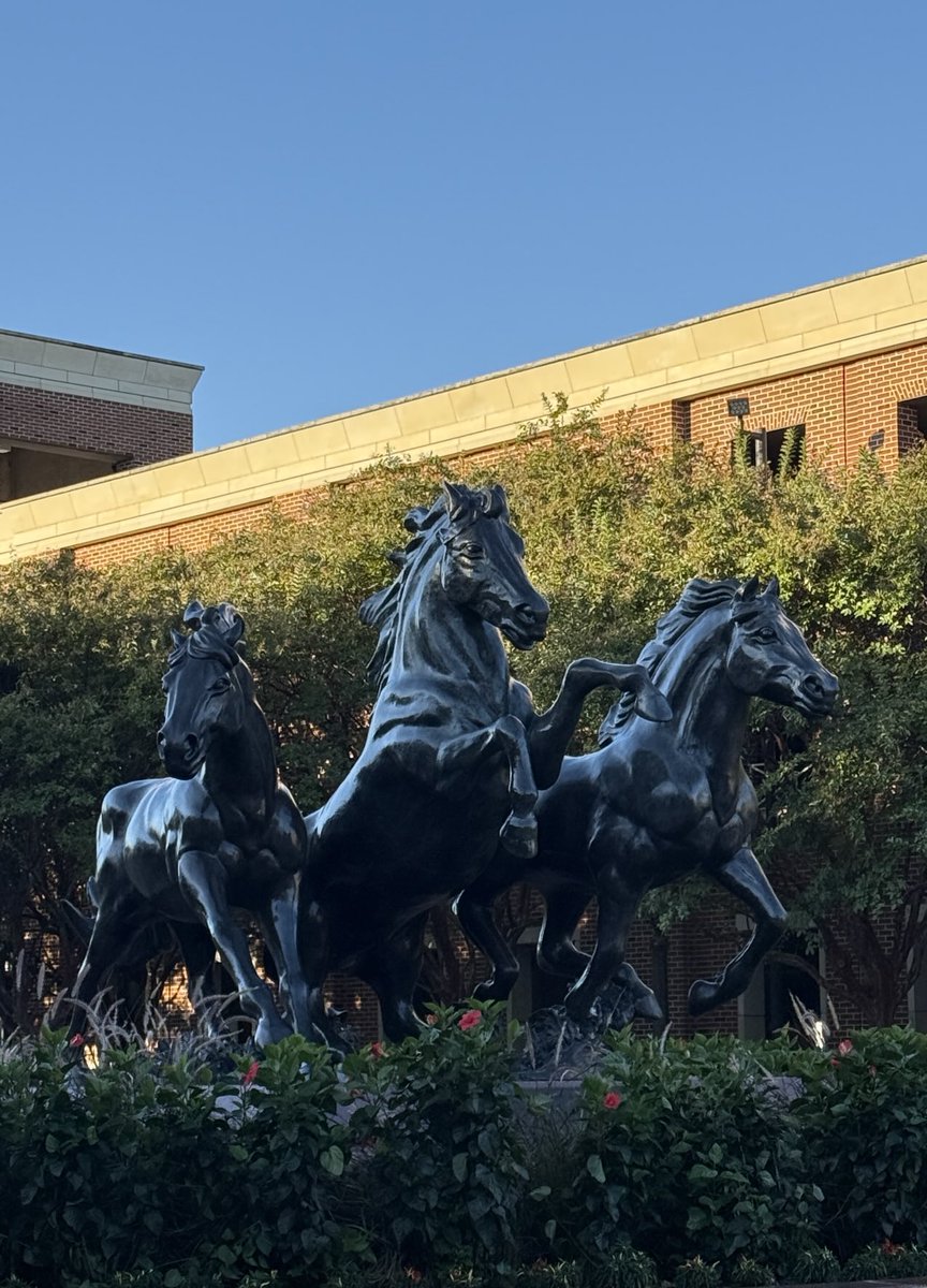 Now that the “Tropical Depression” has been pushed south back to Miami, it’s a beautiful morning on The Hilltop!  GO MUSTANGS!!! ⁦<a href="/SMUFB/">SMU Football</a>⁩ ⁦<a href="/SmuSackClub/">SMU SACK CLUB™️</a>⁩