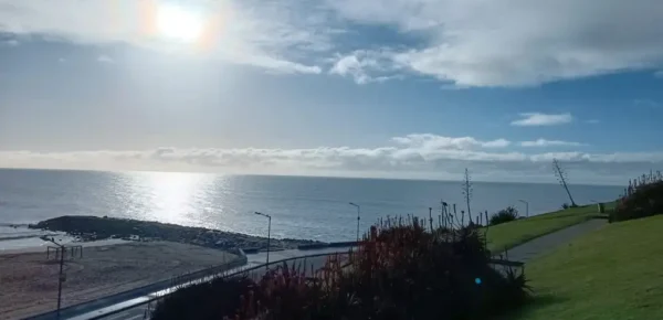 Domingo de sol en la ciudad: cómo estará el clima este 2 de noviembre en Mar del Plata
miradorvirtual.com.ar/domingo-de-sol…