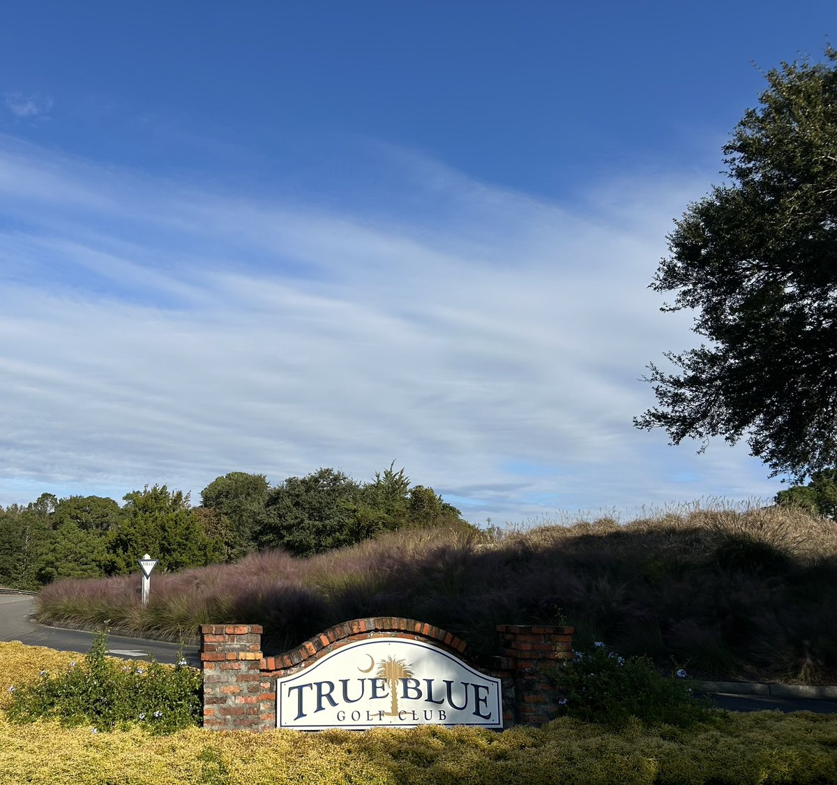 TrueBlueGolf's tweet image. Sensationally Sunny Sunday ❤️ Make it a “November to Remember” @PlayGolfMB @HammockCoastSC @MyMyrtleBeach #MyrtleBeachGolf #MikeStrantzDesign