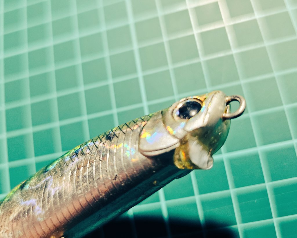 さ、散歩なんだな:( ;˙꒳˙;):

ここんとこ釣りに行けてなかったのでいい気分転換になりました💮

とりあえず磯でリップ破壊してきた🫡