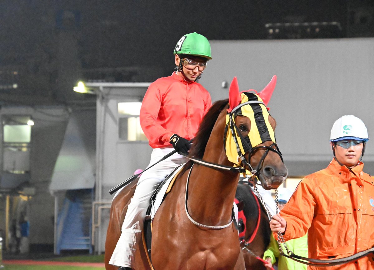 馬のディッシュ たろうー on X