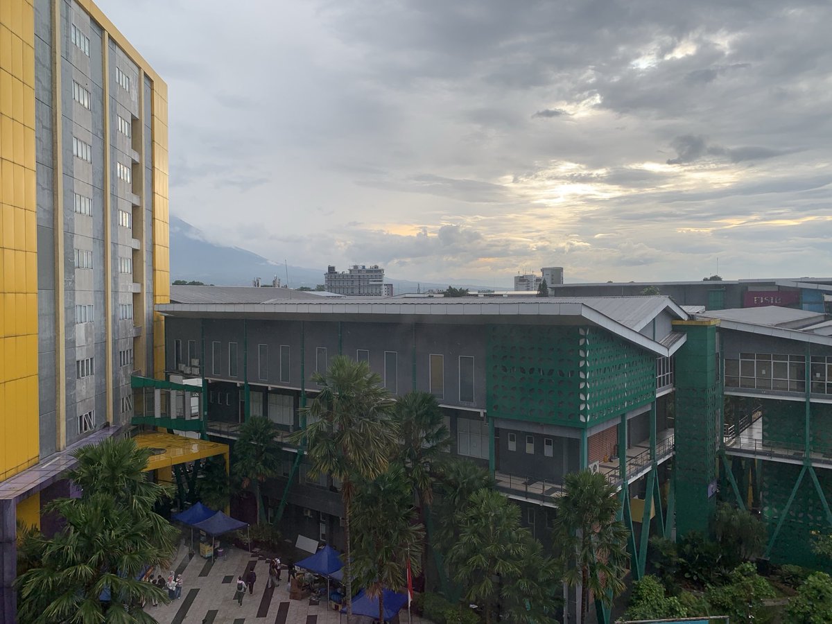 cl_eodash's tweet image. 