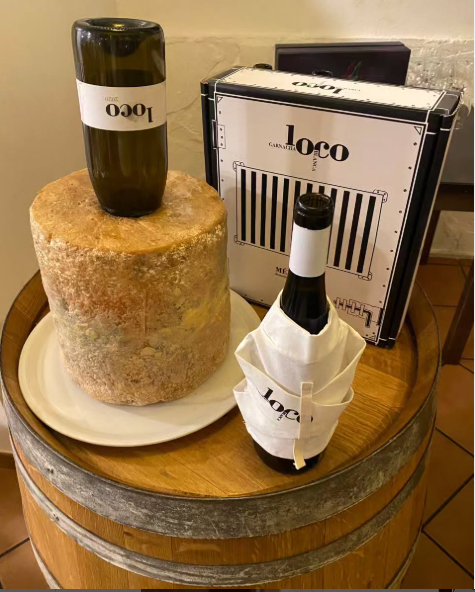 Bodegas Canopy tweet media