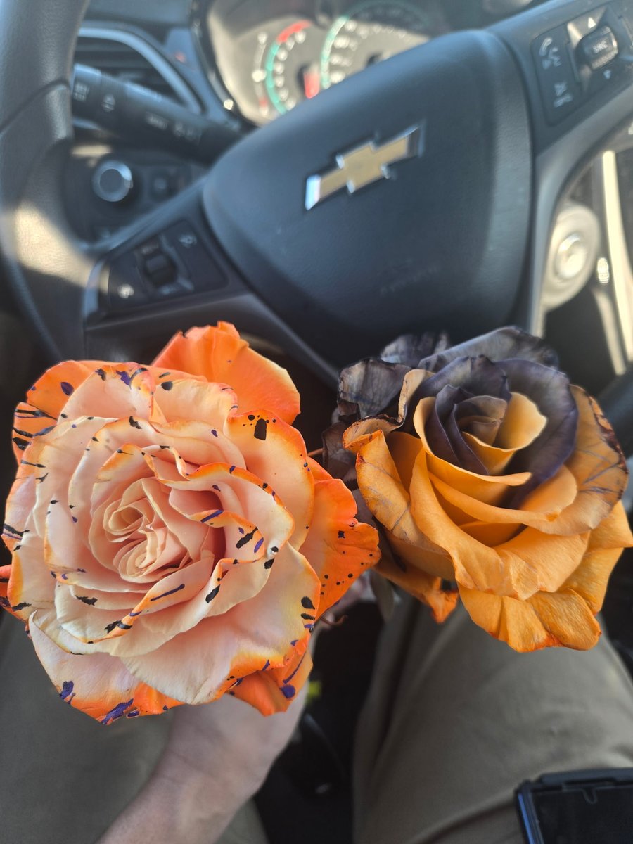 Today, I went out and bought my wife <a href="/CoffinsInBloom/">𝔐𝔬𝔪𝔪𝔞 ℭ𝔬𝔣𝔣𝔦𝔫𝔰 🦇✨️🕯</a> some roses.

Bitches love roses ♥️