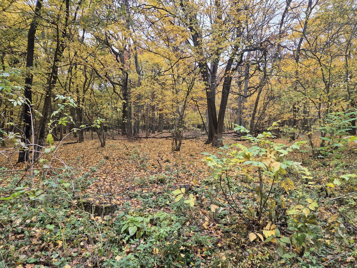 JanAtTwitte_r's tweet image. #Wein 1/4