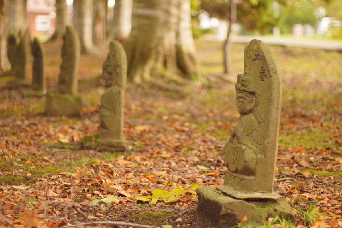 23456mori's tweet image. #千古園
#takumar