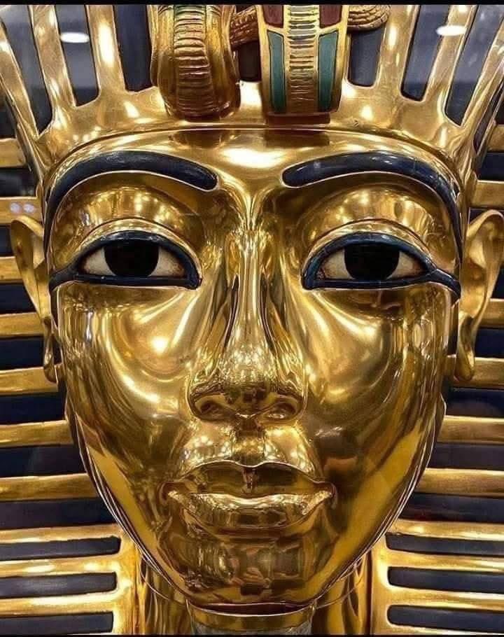 آلاء العطفاوي 𓂀𓋖𓋹🇪🇬 tweet media