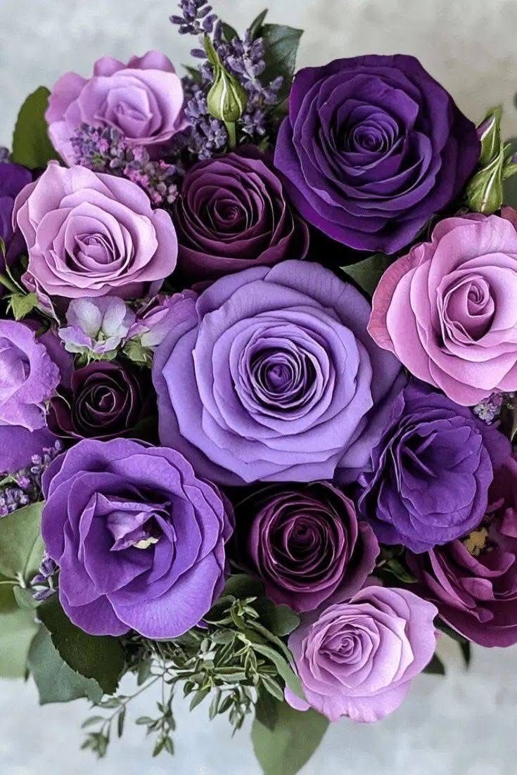 KariJoys's tweet image. Purple #Roses!

#JoyTrain #Joy #Love #MentalHealth #Blessed #Mindfulness #IAM #Mindset #Quote #SundayThoughts #SundayMorning #SundayMotivation #SundayVibes #ThinkBIGSundayWithMarsha RT @AngeLtongue