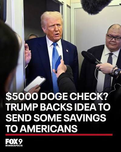 Not Your Average Liberal tweet media