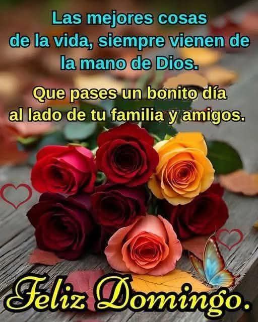 A bouquet of vibrant roses in red, orange, and pink hues arranged on a rustic wooden surface scattered with fallen autumn leaves. A blue butterfly rests near the flowers. Text overlay in blue and red reads Las mejores cosas en la vida siempre vienen de la mano de Dios. Que pases un bonito dia familia al lado de tu familia y amigos. In bold red letters at the bottom Feliz Domingo. Hearts and decorative elements frame the message.