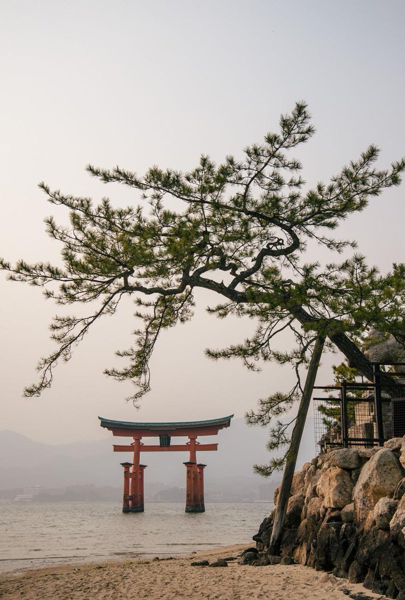 VAR批判民-23🥅 tweet media