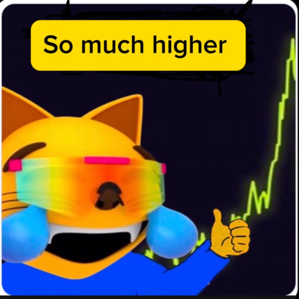 cryptoBey🫵😹 tweet media