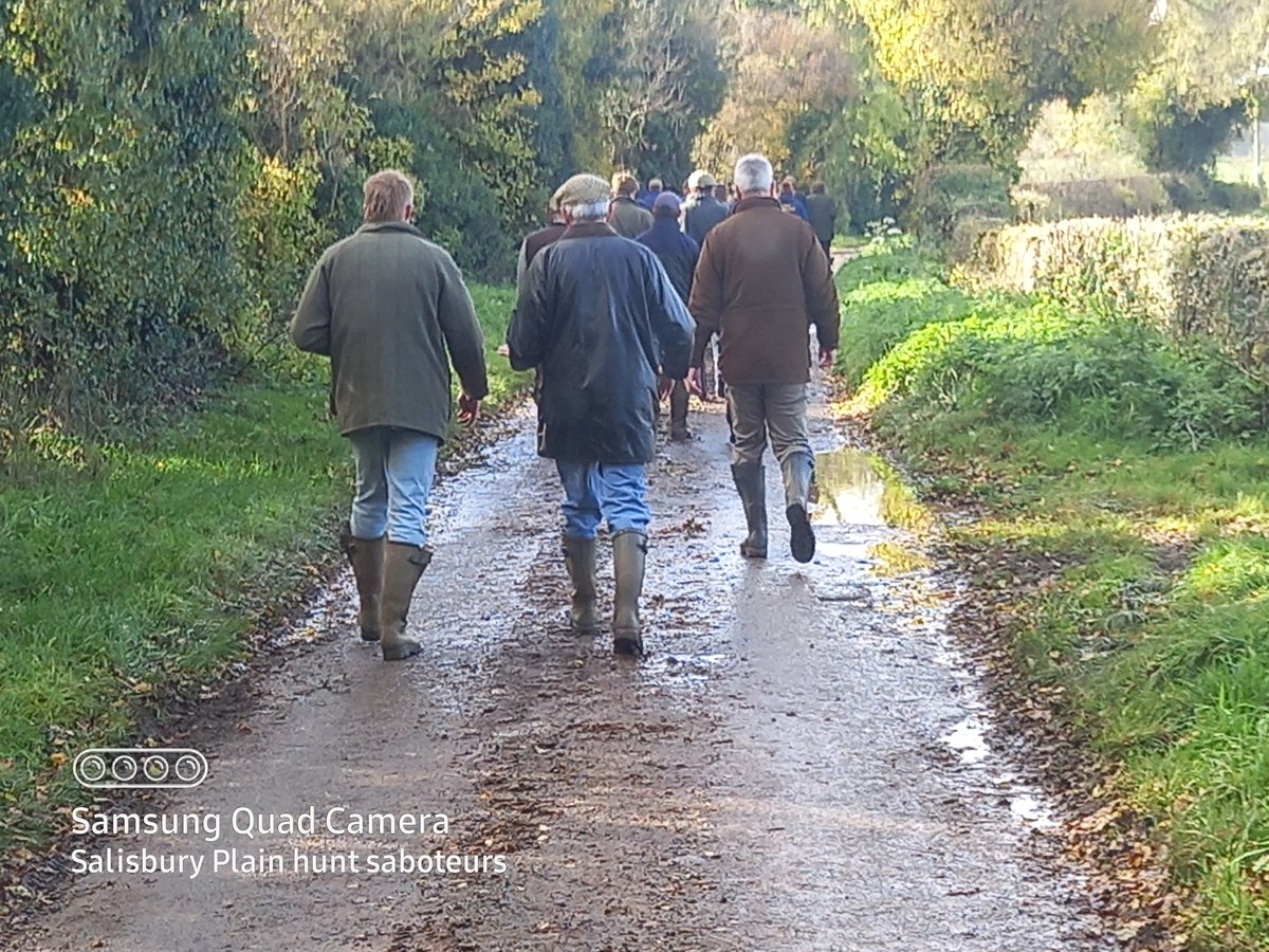 Plainhuntsabs's tweet image. Smug over privileged faces, you&apos;re welcome!

The Dummer beagles
Smenham farm,
Icomb 
GL54 1JQ 

With one beagle pack sent home we quickly set off for the Dummer (yes they are) beagles a pack that tries to kill five to six beautiful hares on each meet.
With Gloucestershire...🧵