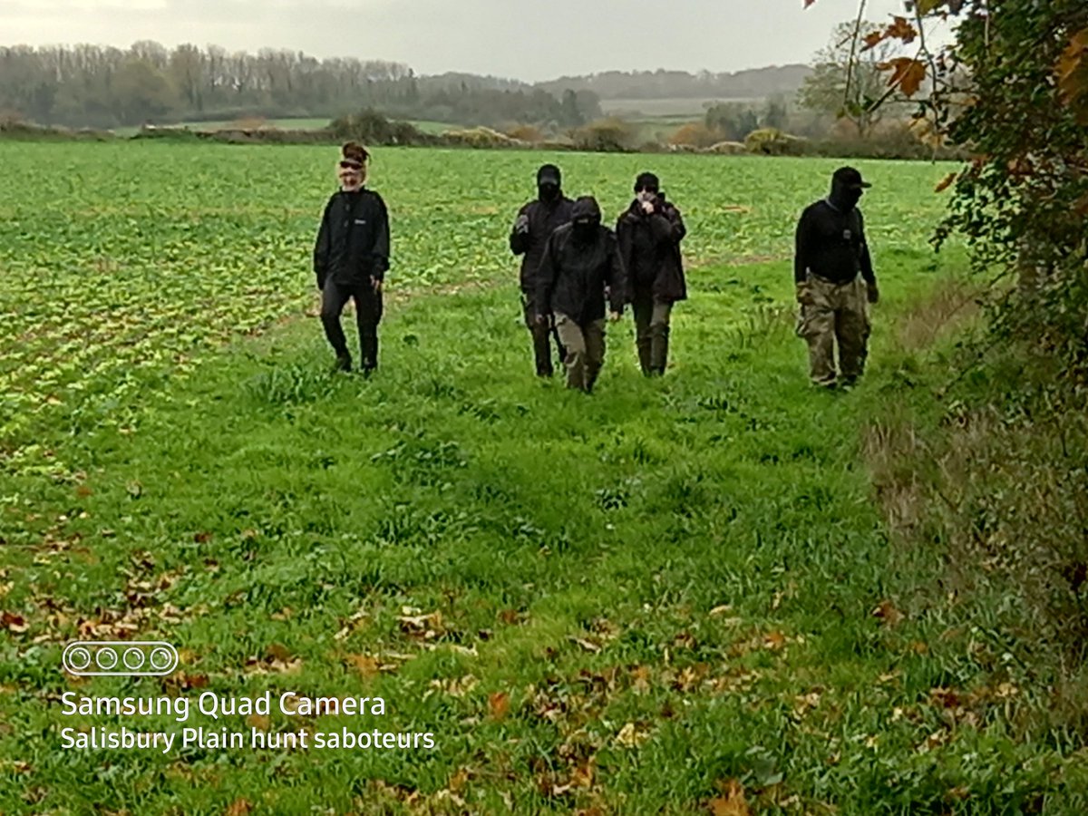 Plainhuntsabs's tweet image. Smug over privileged faces, you&apos;re welcome!

The Dummer beagles
Smenham farm,
Icomb 
GL54 1JQ 

With one beagle pack sent home we quickly set off for the Dummer (yes they are) beagles a pack that tries to kill five to six beautiful hares on each meet.
With Gloucestershire...🧵