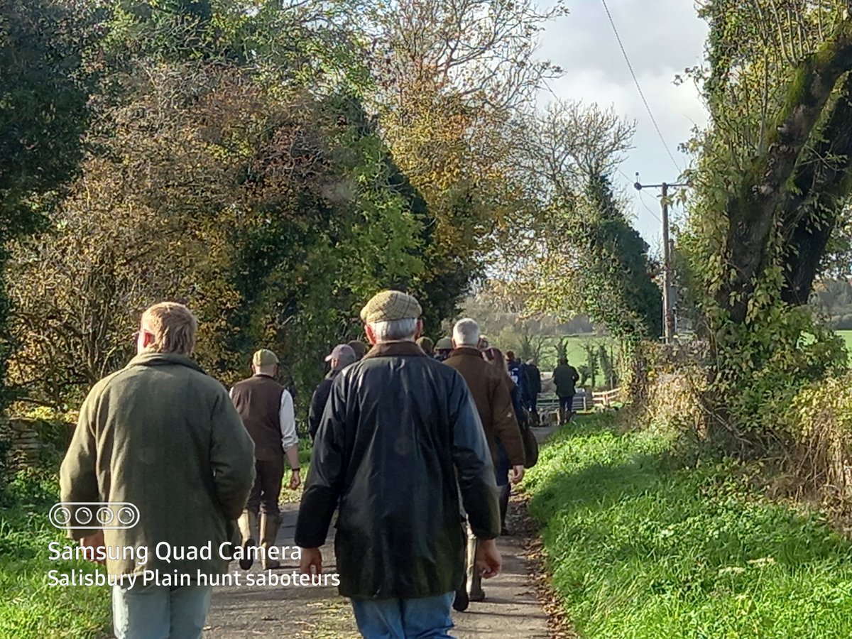 Plainhuntsabs's tweet image. Smug over privileged faces, you&apos;re welcome!

The Dummer beagles
Smenham farm,
Icomb 
GL54 1JQ 

With one beagle pack sent home we quickly set off for the Dummer (yes they are) beagles a pack that tries to kill five to six beautiful hares on each meet.
With Gloucestershire...🧵