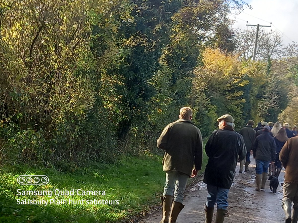 Plainhuntsabs's tweet image. Smug over privileged faces, you&apos;re welcome!

The Dummer beagles
Smenham farm,
Icomb 
GL54 1JQ 

With one beagle pack sent home we quickly set off for the Dummer (yes they are) beagles a pack that tries to kill five to six beautiful hares on each meet.
With Gloucestershire...🧵