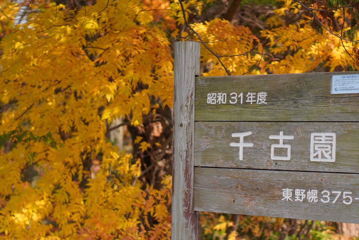 23456mori's tweet image. #千古園
#takumar
