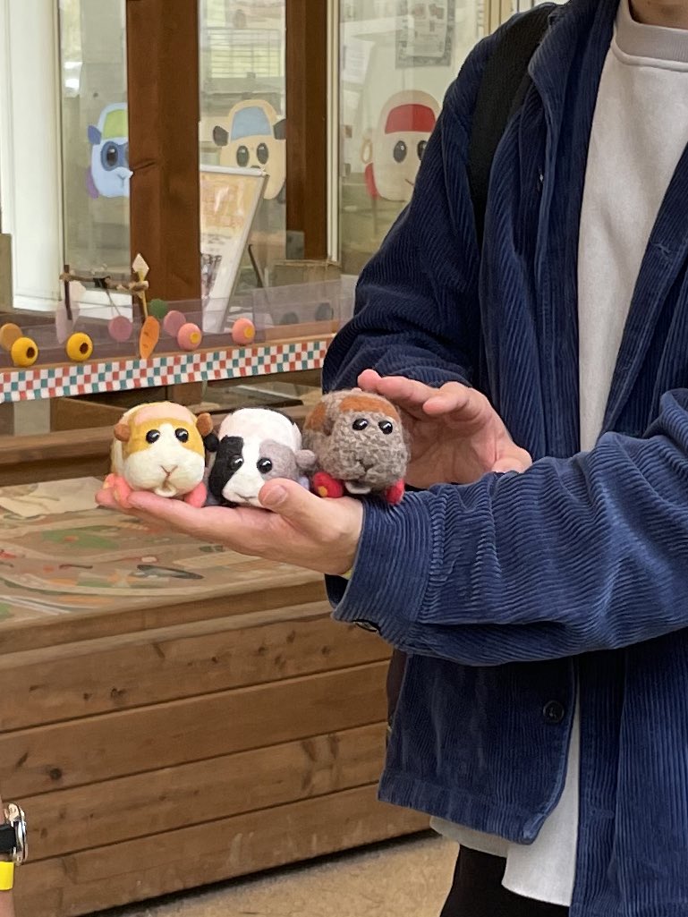 みやちゃむ (@MIYA5013) / Posts / X