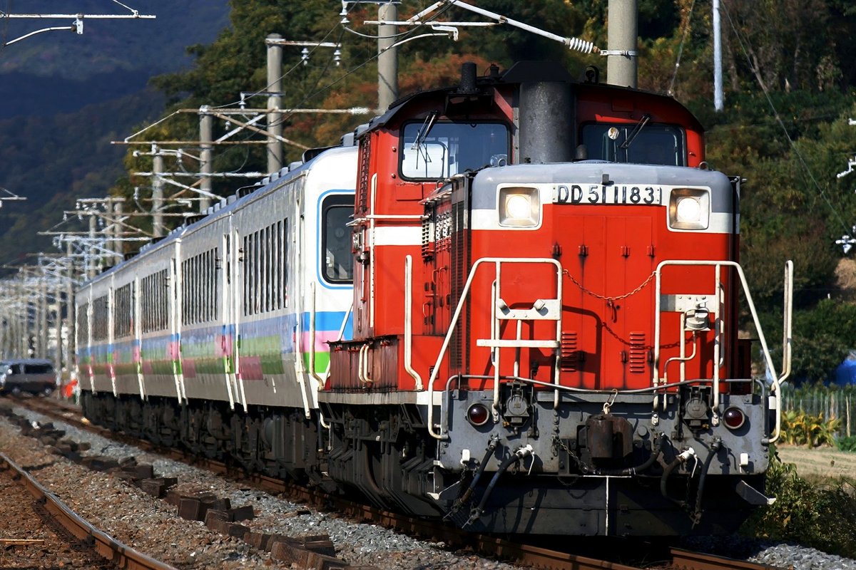 あいく 八 adidas Originals ZX 8000 GORE-TEX JP5259 Night Indigo Unisex