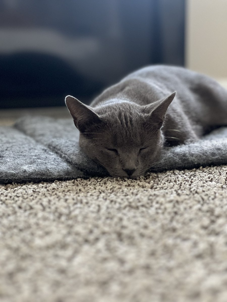 FloydSoRandom's tweet image. Hope you’re exhausted.