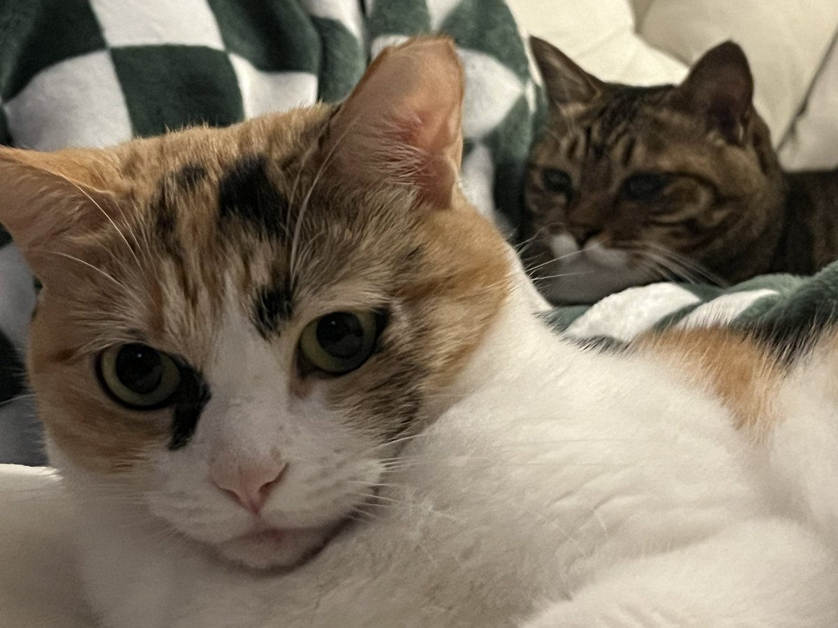 _epdl's tweet image. 애기들이랑 일요일 마무리 𑁤