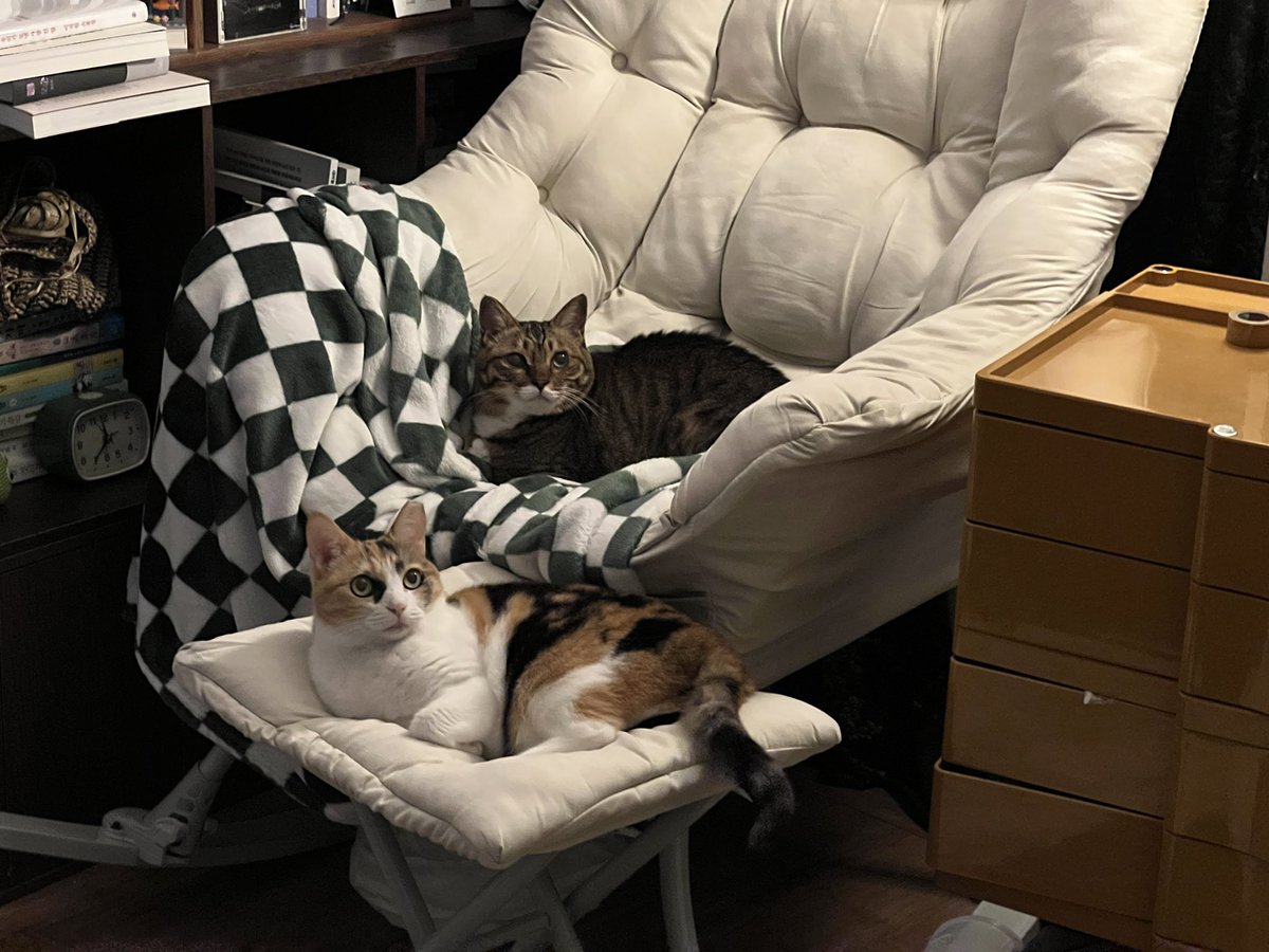 _epdl's tweet image. 애기들이랑 일요일 마무리 𑁤