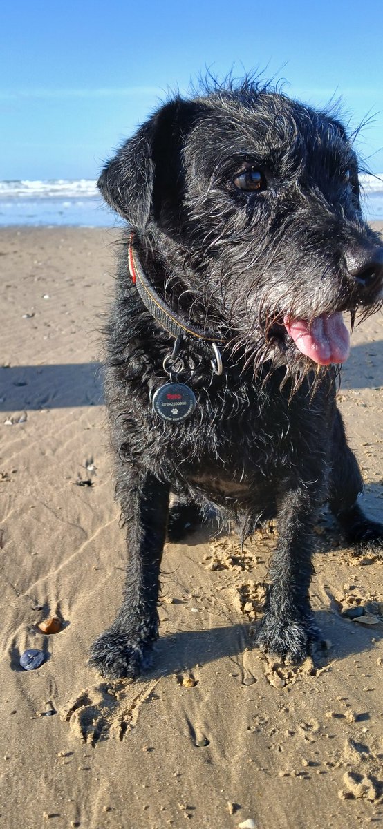 Stunning morning at the beach ♥️🏴󠁧󠁢󠁷󠁬󠁳󠁿🐟🥶🐾