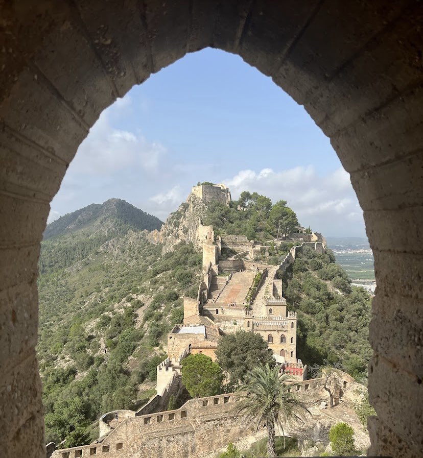 Dibuixos de Rafa tweet media